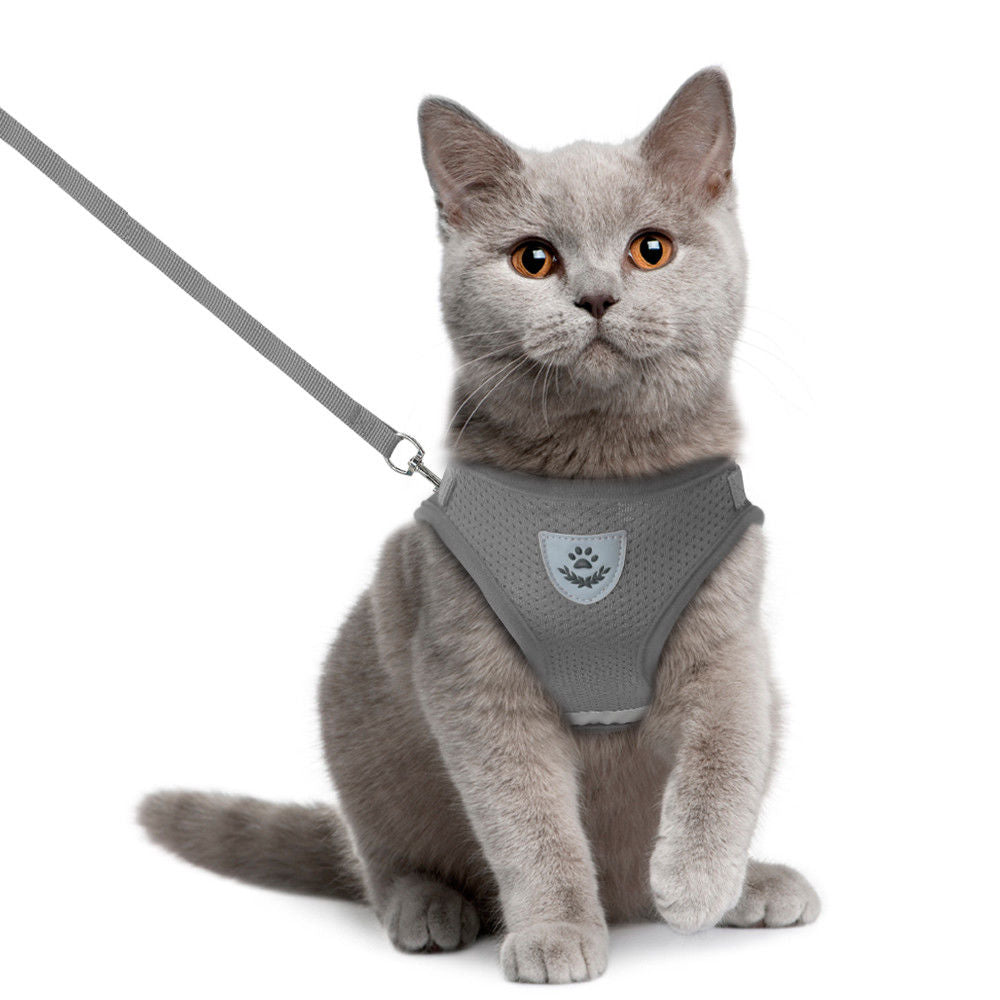 Cat Adjustable Harness & Leash Set - Hellopenguins