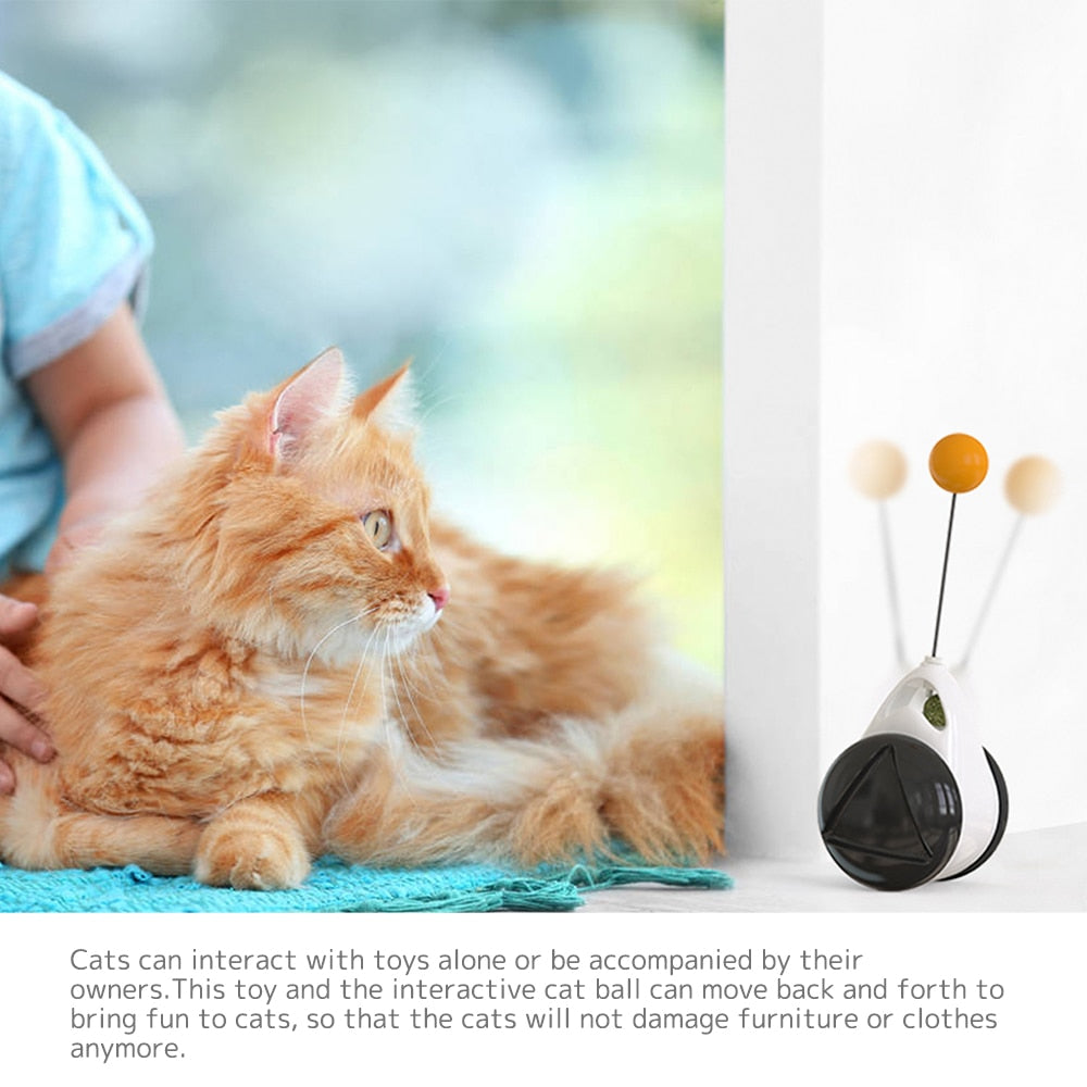 Rotating Tumbler Cat Toy - Hellopenguins